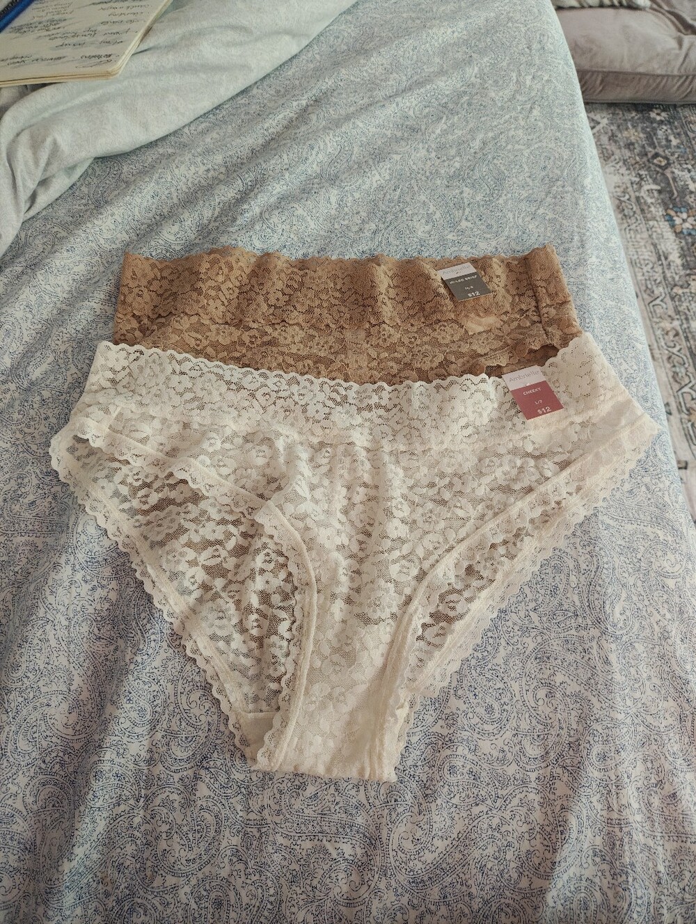 Ambrielle Lace Panties (2) Ivory Cheeky Sz L/7 and Camel Hi-Leg Brief Sz M/6 NWT